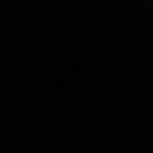 Meet your Posher, Esmeralda